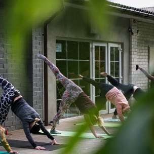 A line of people doing downward dog seen through greenery.
